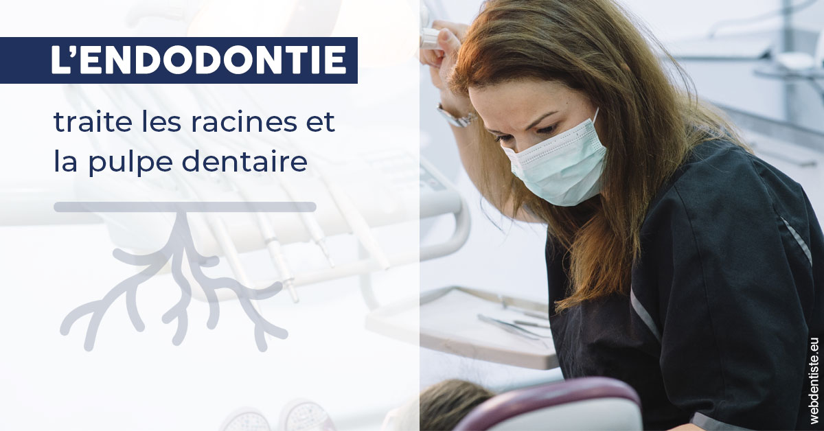 https://www.drgoddefroy.fr/L'endodontie 1