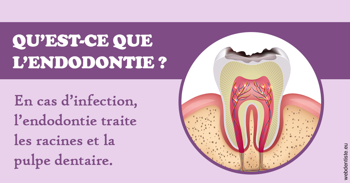 https://www.drgoddefroy.fr/2024 T1 - Endodontie 02