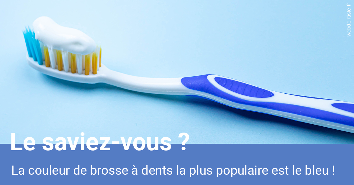 https://www.drgoddefroy.fr/Couleur de brosse à dents