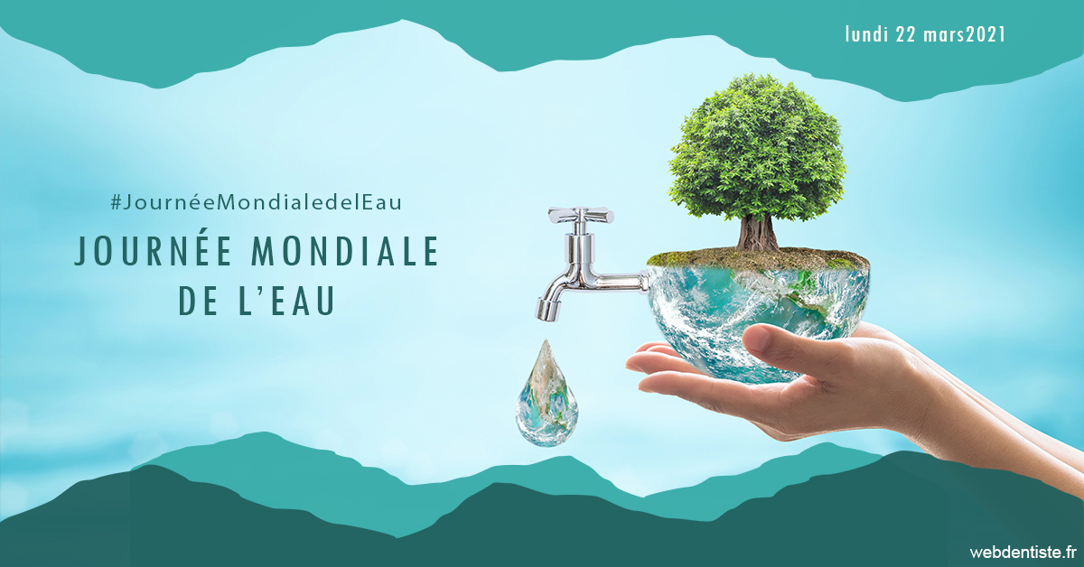 https://www.drgoddefroy.fr/Journée de l'eau 1