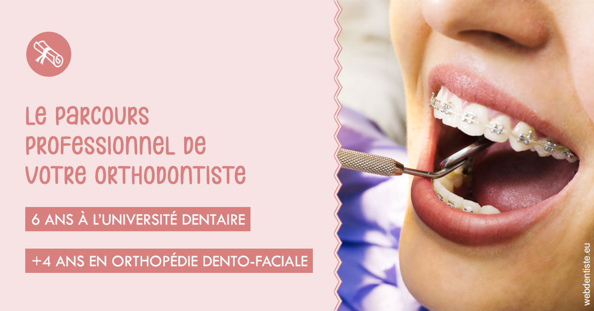https://www.drgoddefroy.fr/Parcours professionnel ortho 1