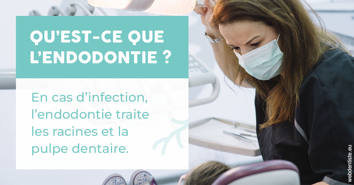 https://www.drgoddefroy.fr/2024 T1 - Endodontie 01