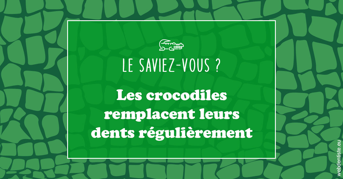 https://www.drgoddefroy.fr/Crocodiles 1